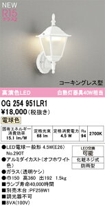 T敪 I[fbN OG254951LR1 ivʍjwOG254951P1#{NO290Tx |[`Cg ݒ薳 LED S̃[J[ۏ