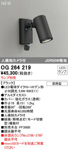�y���������z �I�[�f���b�N T�敪 OG264219 ���O�� �X�|�b�g���C�g �����v�ʔ� �l���m�J�����t �����ݒ薳�� LED ���S�̃��[�J�[�ۏ�