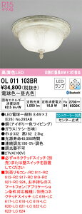 T�敪 �I�[�f���b�N OL011103BR �i�����v�ʍ���j�wOL011103#�{NO295AB×2�x �V�[�����O���C�g �����R���ʔ� �����ݒ薳�� LED ���S�̃��[�J�[�ۏ�