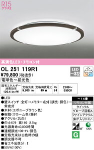 �y���������zN�敪 �I�[�f���b�N OL251119R1 �V�[�����O���C�g �����R���t �`14�� LED ���S�̃��[�J�[�ۏ�