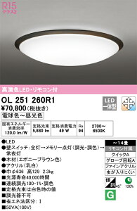 �y���������zN�敪 �I�[�f���b�N OL251260R1 �V�[�����O���C�g �����R���t �`14�� LED ���S�̃��[�J�[�ۏ�