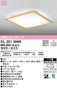 �y���������zH�敪 �I�[�f���b�N OL251399R �V�[�����O���C�g �����R���t �`10�� LED ���S�̃��[�J�[�ۏ�