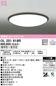�y���������zN�敪 �I�[�f���b�N OL251619R �V�[�����O���C�g �����R���t �`12�� LED ���S�̃��[�J�[�ۏ�