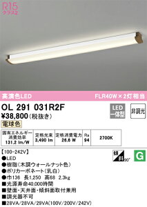 N�敪 �I�[�f���b�N OL291031R2F �i�������j�b�g�ʍ���j�wOL291031#�{UN4412RF�x �u���P�b�g ��ʌ` �����_������ �����ݒ薳�� LED ���S�̃��[�J�[�ۏ�