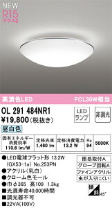 H敪 I[fbN OL291484NR1 ivʍjwOL291484P1#{NO253PNx V[OCg ݒ薳 LED S̃[J[ۏ