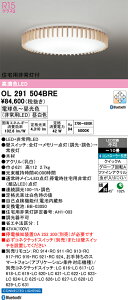 yzN敪 I[fbN OL291504BRE V[OCg Rʔ `10 LED S̃[J[ۏ