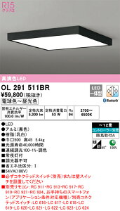 H�敪 �I�[�f���b�N OL291511BR �V�[�����O���C�g �����R���ʔ� �`12�� LED ���S�̃��[�J�[�ۏ�