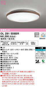 T�敪 �I�[�f���b�N OL291559BR �V�[�����O���C�g �����R���ʔ� �`12�� LED ���S�̃��[�J�[�ۏ�