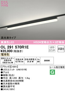 N�敪 �I�[�f���b�N OL291570R1E �i�������j�b�g�ʍ���j�wOL291570#�{UN6101RE�x �x�[�X���C�g �z���_�N�g�p �����ݒ薳�� LED ���S�̃��[�J�[�ۏ�