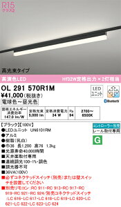 N区分 オーデリック OL291570R1M (光源ユニット別梱包)『OL291570#+UN6101RM』 ベースライト 配線ダクト用 リモコン別売 畳数設定無し LED 安心のメーカー保証