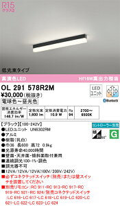 T�敪 �I�[�f���b�N OL291578R2M �i�������j�b�g�ʍ���j�wOL291578#�{UN6302RM�x �x�[�X���C�g �z���_�N�g�p �����R���ʔ� �����ݒ薳�� LED ���S�̃��[�J�[�ۏ�