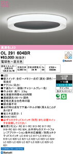 【送料無料】N区分 オーデリック OL291604BR シーリングライト リモコン別売 〜10畳 LED 安心のメーカー保証