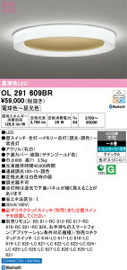 �y���������zN�敪 �I�[�f���b�N OL291609BR �V�[�����O���C�g �����R���ʔ� �`8�� LED ���S�̃��[�J�[�ۏ�