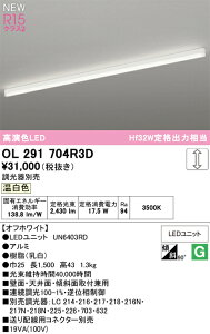 N�敪 �I�[�f���b�N OL291704R3D �i�������j�b�g�ʍ���j�wOL291704#�{UN6403RD�x �x�[�X���C�g �����ݒ薳�� LED ���S�̃��[�J�[�ۏ�
