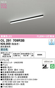 T�敪 �I�[�f���b�N OL291709R3B �i�������j�b�g�ʍ���j�wOL291709#�{UN6203RB�x �x�[�X���C�g �����ݒ薳�� LED ���S�̃��[�J�[�ۏ�