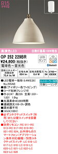 T�敪 �I�[�f���b�N OP252229BR �i�����v�ʍ���j�wOP252229#�{NO295AB�x �y���_���g �����R���ʔ� �����ݒ薳�� LED ���S�̃��[�J�[�ۏ�
