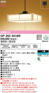 yz I[fbN H敪 OP252541BR y_g Rʔ `8 LED S̃[J[ۏ