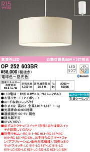 �y���������zN�敪 �I�[�f���b�N OP252603BR �i�����v�ʍ���j�wOP252603#�{NO295AB×3�x �y���_���g �����R���ʔ� �����ݒ薳�� LED ���S�̃��[�J�[�ۏ�