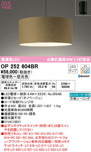 �y���������zN�敪 �I�[�f���b�N OP252604BR �i�����v�ʍ���j�wOP252604#�{NO295AB×3�x �y���_���g �����R���ʔ� �����ݒ薳�� LED ���S�̃��[�J�[�ۏ�
