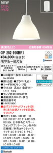 T�敪 �I�[�f���b�N OP252990BR1 �i�����v�ʍ���j�wOP252990P1#�{NO295AB�x �y���_���g �����R���ʔ� �����ݒ薳�� LED ���S�̃��[�J�[�ۏ�