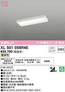N�敪 �I�[�f���b�N XL501056R4E �i�������j�b�g�ʍ���j�wXL501056#�{UN4304RE�x �x�[�X���C�g ��ʌ` �����ݒ薳�� LED ���S�̃��[�J�[�ۏ�