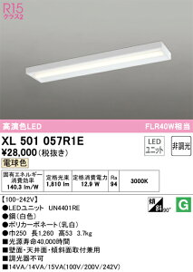 N�敪 �I�[�f���b�N XL501057R1E �i�������j�b�g�ʍ���j�wXL501057#�{UN4401RE�x �x�[�X���C�g ��ʌ` �����ݒ薳�� LED ���S�̃��[�J�[�ۏ�
