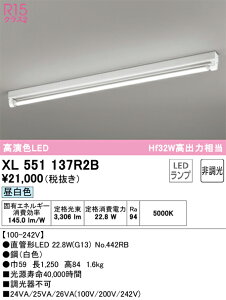 N�敪 �I�[�f���b�N XL551137R2B �i�����v�ʍ���j�wXL551137#Y�{NO442RB�x �x�[�X���C�g �����ݒ薳�� LED ���S�̃��[�J�[�ۏ�