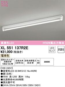 N�敪 �I�[�f���b�N XL551137R2E �i�����v�ʍ���j�wXL551137#Y�{NO442RE�x �x�[�X���C�g �����ݒ薳�� LED ���S�̃��[�J�[�ۏ�
