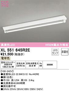 N�敪 �I�[�f���b�N XL551645R2E �i�����v�ʍ���j�wXL551645#Y�{NO442RE�x �x�[�X���C�g �����ݒ薳�� LED ���S�̃��[�J�[�ۏ�