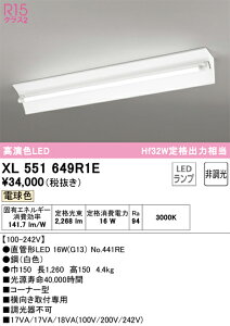 N�敪 �I�[�f���b�N XL551649R1E �i�����v�ʍ���j�wXL551649#Y�{NO441RE�x �x�[�X���C�g �����ݒ薳�� LED ���S�̃��[�J�[�ۏ�