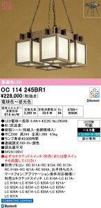 �y���������zN�敪 �I�[�f���b�N OC114245BR1 �i�����v�ʍ���j�wOC114245P1#�{NO295AB×4�x �V�����f���A �����R���ʔ� �`4.5�� LED ���S�̃��[�J�[�ۏ�