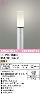 N�敪 �I�[�f���b�N OG254668LR �i�����v�ʍ���j�wOG254668#�{NO292BL�x ���O�� �|�[�����C�g �����_������ �����ݒ薳�� LED ���S�̃��[�J�[�ۏ�