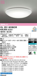 T�敪 �I�[�f���b�N OL251823BCR �V�[�����O���C�g �����R���ʔ� �`10�� LED ���S�̃��[�J�[�ۏ�