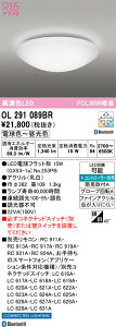 �y���������z �I�[�f���b�N N�敪 OL291089BR-SF �i�����v�ʍ���j�wOL291089#�{NO253PB�x �V�[�����O���C�g �����R���ʔ� �����ݒ薳�� LED ���S�̃��[�J�[�ۏ�