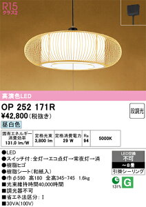 N�敪 �I�[�f���b�N OP252171R �y���_���g �`8�� LED ���S�̃��[�J�[�ۏ�