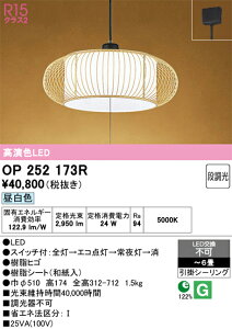 N�敪 �I�[�f���b�N OP252173R �y���_���g �`6�� LED ���S�̃��[�J�[�ۏ�