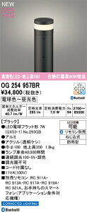 N�敪 �I�[�f���b�N OG254957BR �i�����v�ʍ���j�wOG254957#�{NO293GB�x ���O�� �|�[�����C�g �����R���ʔ� �����ݒ薳�� LED ���S�̃��[�J�[�ۏ�