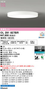 N�敪 �I�[�f���b�N OL291827BR �V�[�����O���C�g �����R���ʔ� �`8�� LED ���S�̃��[�J�[�ۏ�