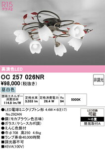 �y���������zN�敪 �I�[�f���b�N OC257026NR �i�����v�ʍ���j�wOC257026#�{NO292AN×6�x �V�����f���A �`6�� LED ���S�̃��[�J�[�ۏ�