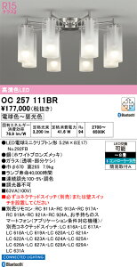 �y���������zN�敪 �I�[�f���b�N OC257111BR �i�����v�ʍ���j�wOC257111#�{NO292FB×8�x �V�����f���A �����R���ʔ� �`8�� LED ���S�̃��[�J�[�ۏ�