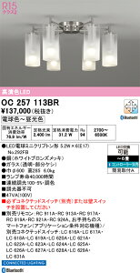 �y���������zN�敪 �I�[�f���b�N OC257113BR �i�����v�ʍ���j�wOC257113#�{NO292FB×6�x �V�����f���A �����R���ʔ� �`6�� LED ���S�̃��[�J�[�ۏ�