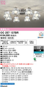 �y���������zN�敪 �I�[�f���b�N OC257137BR �V�����f���A �����R���ʔ� �`12�� LED ���S�̃��[�J�[�ۏ�