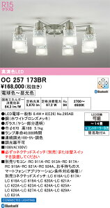 �y���������zN�敪 �I�[�f���b�N OC257173BR �i�����v�ʍ���j�wOC257173#�{NO295AB×8�x �V�����f���A �����R���ʔ� �`14�� LED ���S�̃��[�J�[�ۏ�