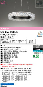�y���������zN�敪 �I�[�f���b�N OC257223BR �y���_���g �����R���ʔ� �`14�� LED ���S�̃��[�J�[�ۏ�