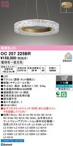 �y���������zN�敪 �I�[�f���b�N OC257225BR �y���_���g �����R���ʔ� �`14�� LED ���S�̃��[�J�[�ۏ�