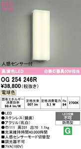 �y���������z �I�[�f���b�N T�敪 OG254246R �|�[�`���C�g �����ݒ薳�� LED ���S�̃��[�J�[�ۏ�