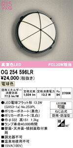 H�敪 �I�[�f���b�N OG254596LR �i�����v�ʍ���j�wOG254596#�{NO253PL�x �|�[�`���C�g �����ݒ薳�� LED ���S�̃��[�J�[�ۏ�