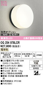 T�敪 �I�[�f���b�N OG254978LCR �i�����v�ʍ���j�wOG254978#�{NO293TL�x �|�[�`���C�g �����ݒ薳�� LED ���S�̃��[�J�[�ۏ�