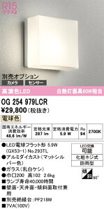 T�敪 �I�[�f���b�N OG254979LCR �i�����v�ʍ���j�wOG254979#�{NO293TL�x �|�[�`���C�g �����ݒ薳�� LED ���S�̃��[�J�[�ۏ�