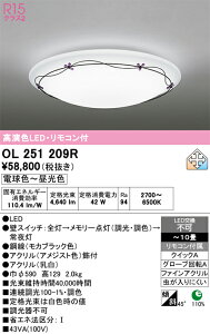 �y���������zN�敪 �I�[�f���b�N OL251209R �V�[�����O���C�g �����R���t �`10�� LED ���S�̃��[�J�[�ۏ�